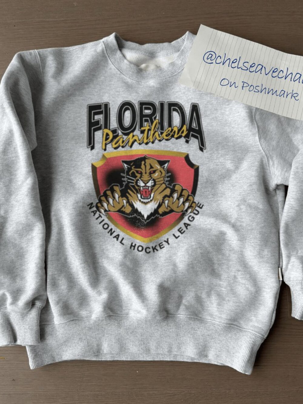 Vintage Florida Panthers Hockey Sweatshirt, Florida Panthers Sport Hockey Team